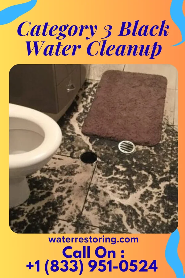 Category 3 Black Water Cleanup in Pen Argyl, PA