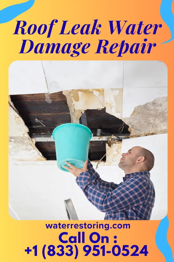 Roof Leak Water Damage Repair in Pen Argyl, PA