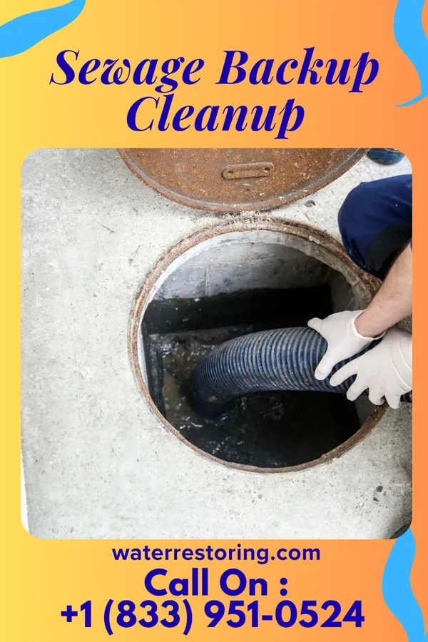 Sewage Backup Cleanup in Pen Argyl, PA