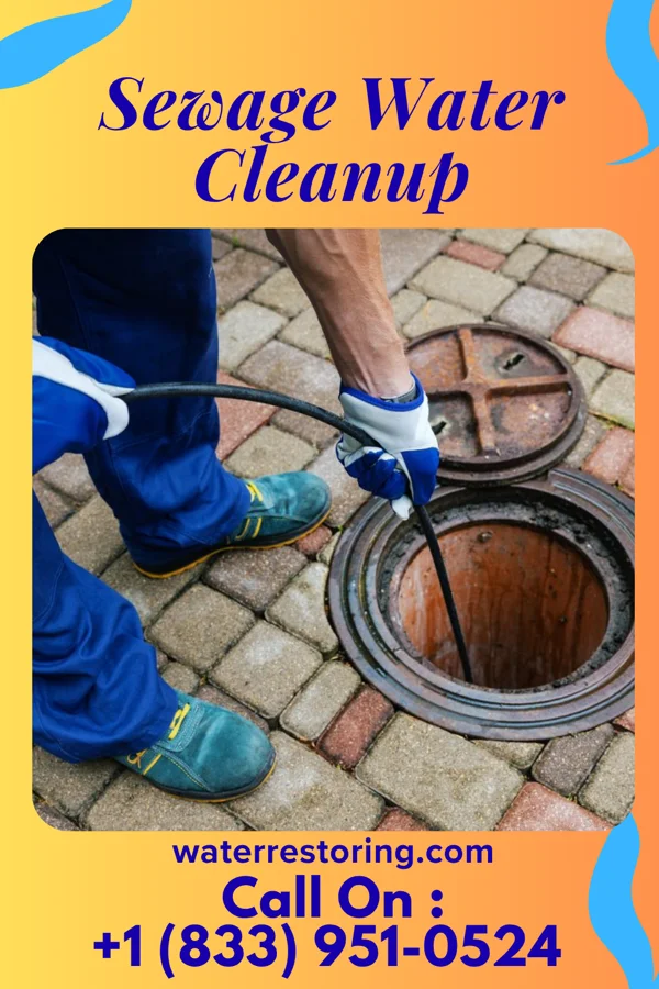 Sewage Water Cleanup in Pen Argyl, PA